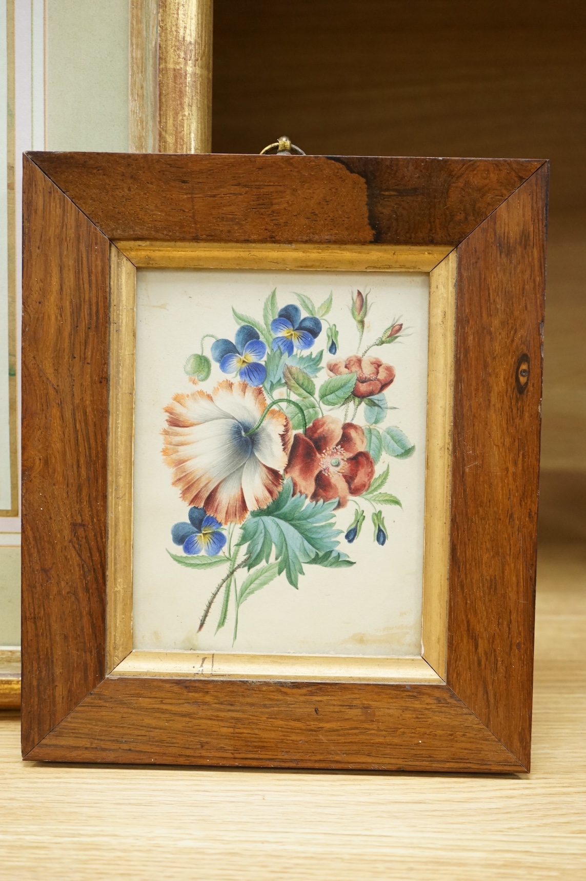 Two 19th century botanical watercolours, one initialled M P and dated 1843, together with a cut paper and textile display, maple framed, largest 25 x 18cm